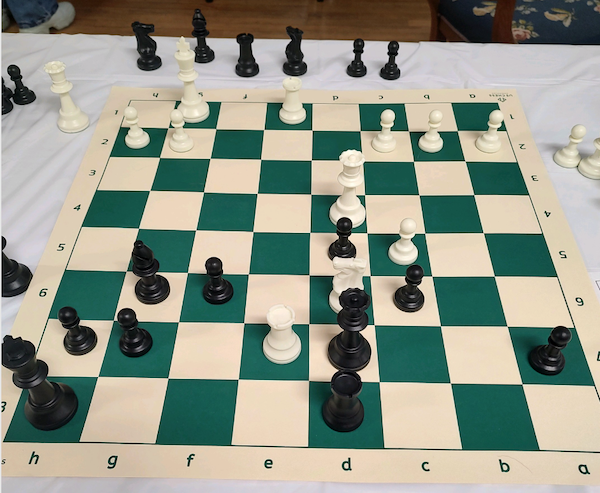 Final position of GM vs Aric