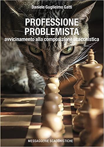 Book Cover for Professione Problemista