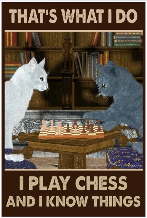 Poster with cats playing chess
