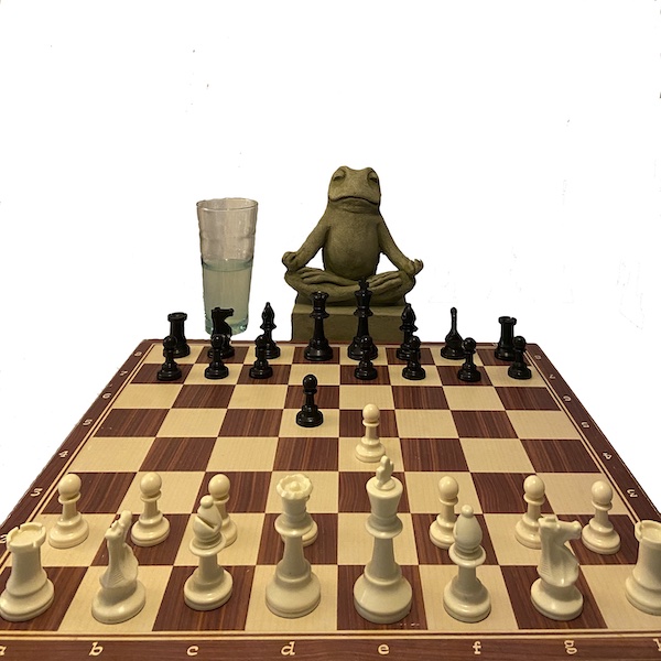 Frog Playing Scandinavian Defense